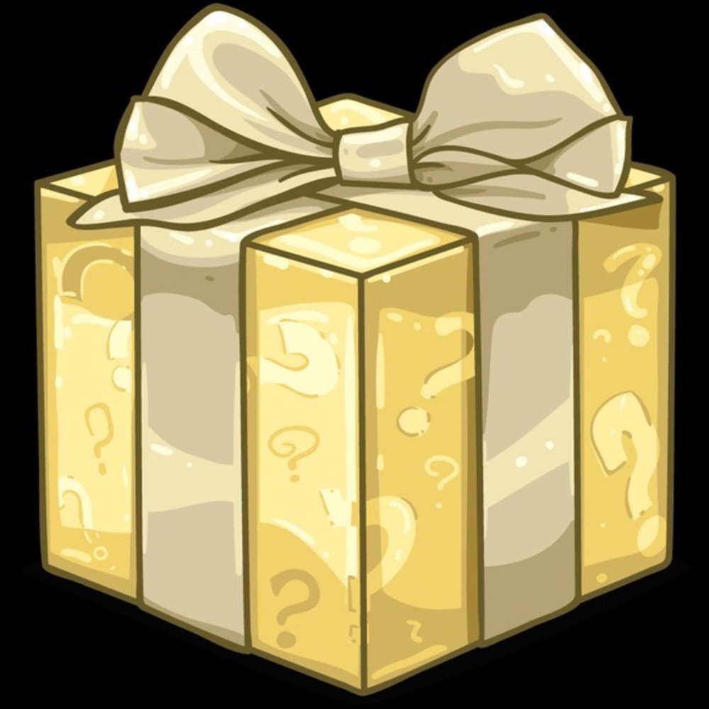 Luxury Mystery Box! high end bundle